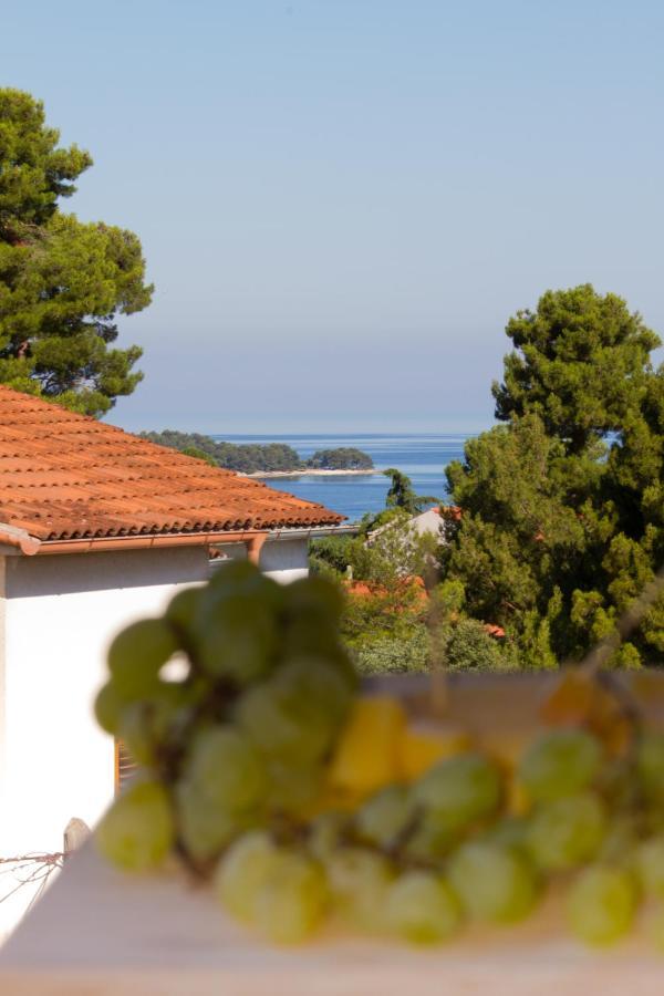 Studio Apartman Nega 2 Rovinj Ngoại thất bức ảnh